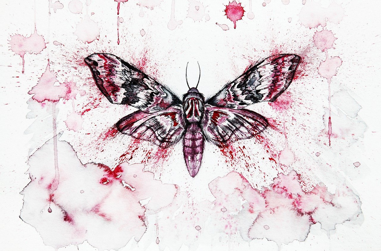 insect-moth-watercolor-4500348.jpg