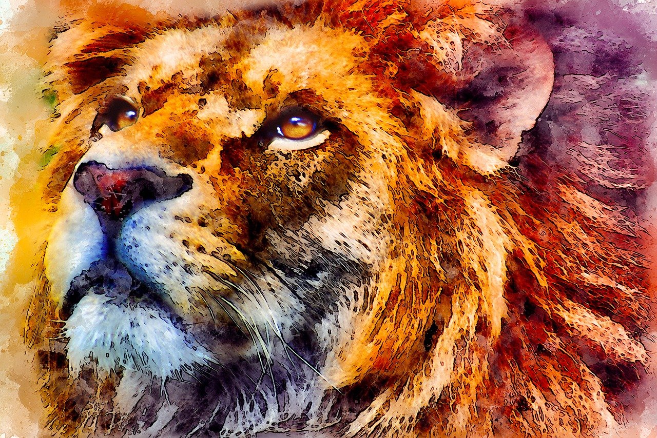 lion-wild-portrait-3676984.jpg